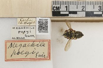 Media type: image;   Entomology 794935 Aspect: Labels